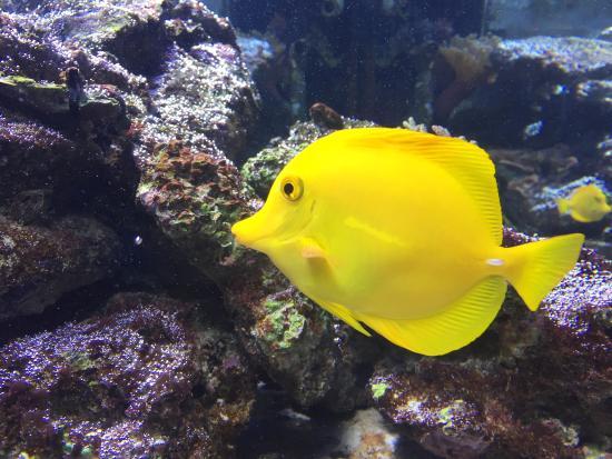 Marine World Aquarium